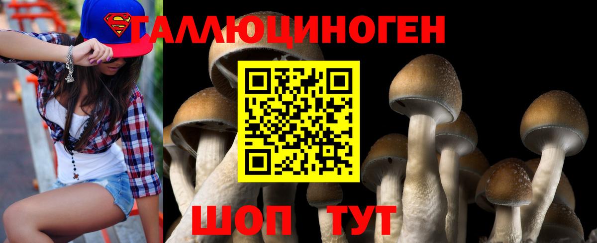 Псилоцибиновые грибы мицелий Губкинский