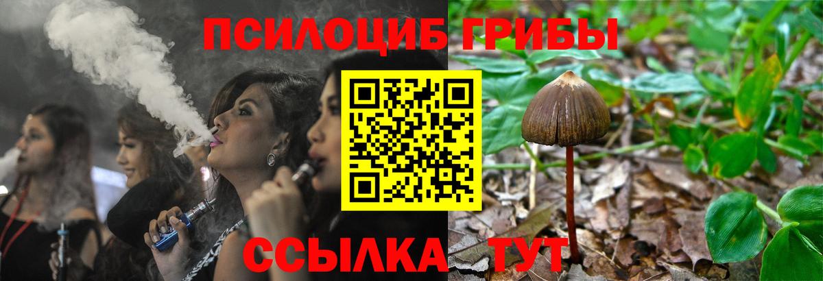 Галлюциногенные грибы ЛСД  где купить наркотик  Губкинский  Вход с VPN 